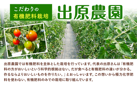 ミニトマト 2kg 出原農園 《1月上旬-5月末頃出荷》 岡山県 矢掛町 野菜 ミニトマト もぎたて 新鮮 st-p