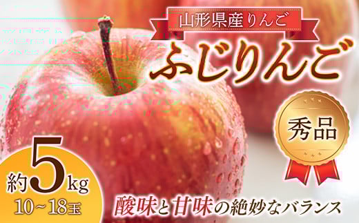《2025年度先行予約》りんご「ふじりんご」秀品 10～18玉 5kg  りんご リンゴ 林檎 デザート フルーツ 果物 くだもの 果実 食品 山形県 FSY-1916