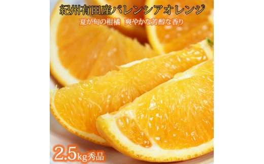 秀品　希少な国産バレンシアオレンジ　約2.5kg 【2025年6月下旬頃～7月中旬頃順次発送（お届け日指定不可）】