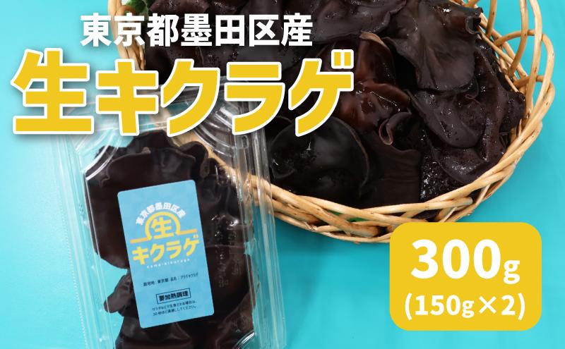 東京都墨田区産　生キクラゲ300g（150g×2パック）　食品 野菜 きのこ キノコ きくらげ キクラゲ 木耳 純国産 新鮮 プリプリ 肉厚 サラダ 和え物 炒め物 鍋