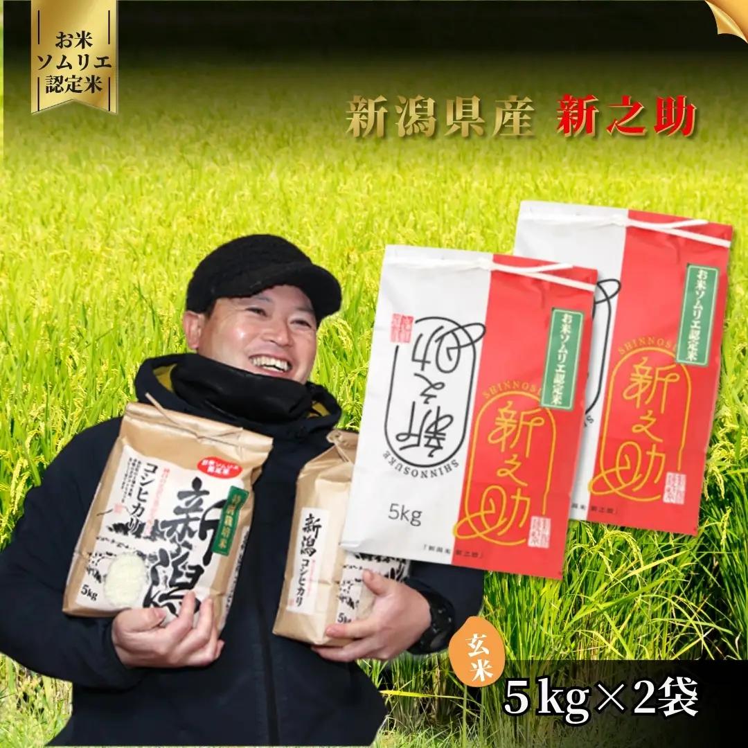 【先行予約】令和8年産 新米 新之助 玄米 10kg(5kg×2袋) お米ソムリエ | 新潟県産 米 玄米 五泉市