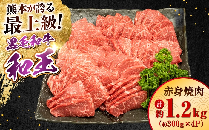 
            熊本県産 A5等級 黒毛和牛 和王 柔らか赤身焼肉 約300g×4P 計約1.2kg【帝神志方ミート 株式会社】 [AYCH095]
          