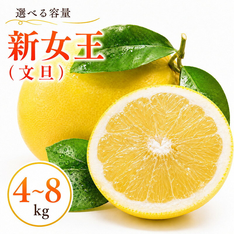 【ふるさと納税】 【先行予約】新女王 4kg 8kg 7000円 10000円 文旦 正品 訳あり みかん mikan 蜜柑 ミカン わけあり ぶんたん 産地直送 国産 農家直送 期間限定 数量限定 特産品 ゼリー ジュース アイス フルーツ 果物 柑橘 第一マルエム 愛南町 愛媛県