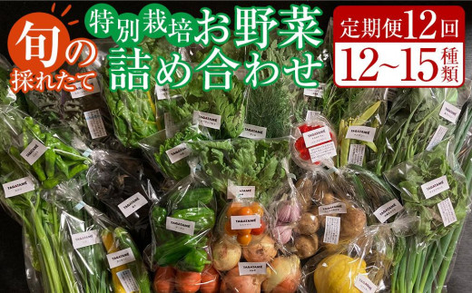 【定期便全12回】旬の採れたて 12～15種類お野菜詰め合わせセット(3～4名様) TAGATAME タガタメ【野菜 特別栽培  有機野菜 農薬不使用 旬 無農薬】
