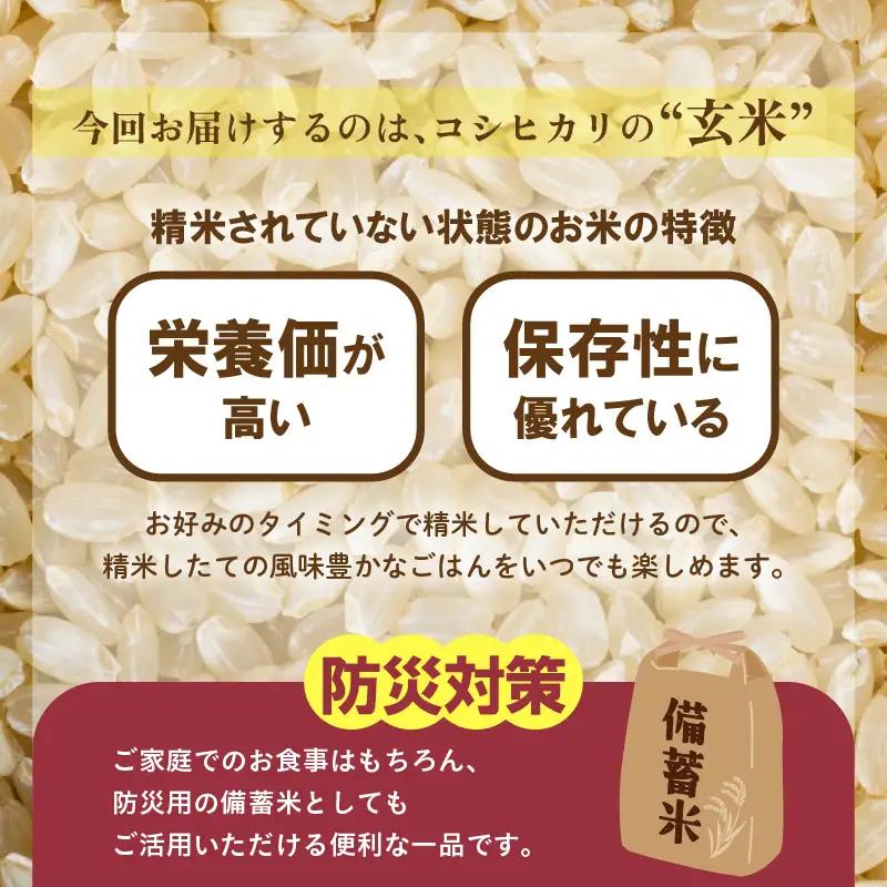 【先行予約】【令和8年産・新米】コシヒカリ 玄米 20kg / コシヒカリ 米 こしひかり【2026年9月下旬より順次発送予定】 [aw096-d004]