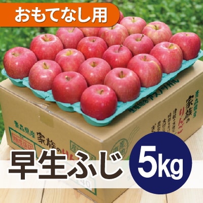 【26年10月より順次発送】平均糖度12度以上! 早生ふじ 約5kg おもてなし用　青森りんご【配送不可地域：沖縄県】