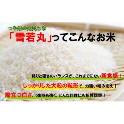 ふるさと納税 飯豊町 人気のブランド米　雪若丸　玄米　10kg(5kg×2袋)山形県飯豊町産 |  | 01