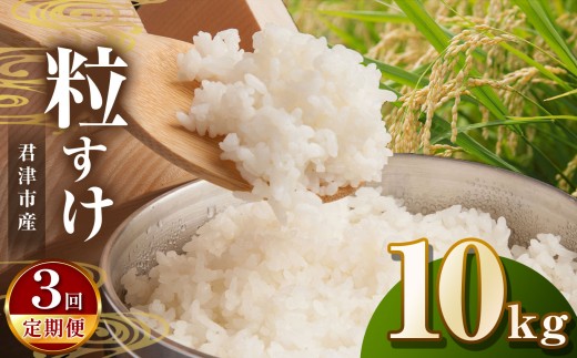 【令和7年産】【3回定期便】君津市産粒すけ（精米）10kg  | JA さだもと 米 こめ お米 おこめ 白米 精米  千葉県 君津市 きみつ