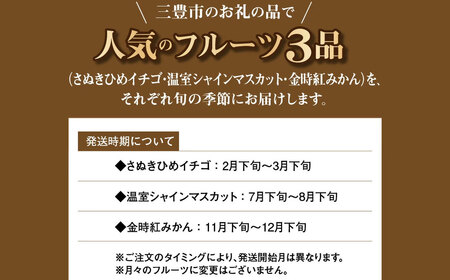 三豊市産 人気の厳選フルーツ定期便(年3回)