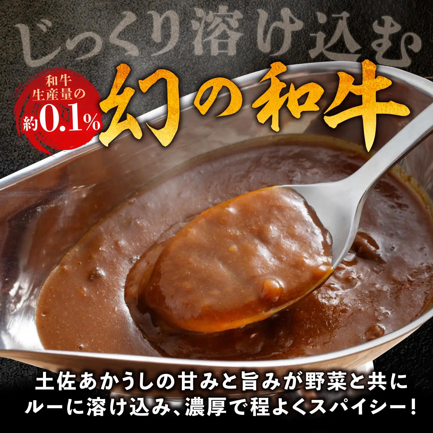 土佐あかうしカレー（パウチ） 2食セット/レトルト カレー 土佐あかうし 牛肉 牛カレー 保存食 常備 5000円以下 3000円【株式会社 四国健商】[ATAF161]