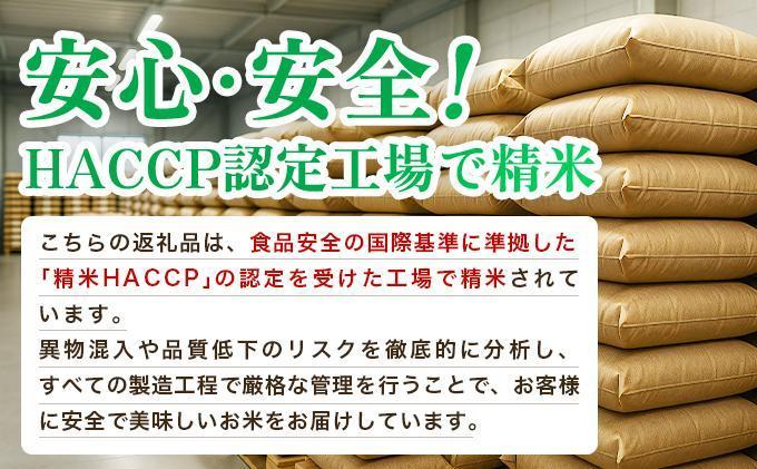 【6ヶ月定期便】令和7年産 福岡県産米100％使用！大木町 ゆめおおき 10kg ※北海道・沖縄・離島は配送不可 | 精米 国産 お米 ブランド米 お弁当 ご飯 おにぎり CY006sub6 【6ヶ月