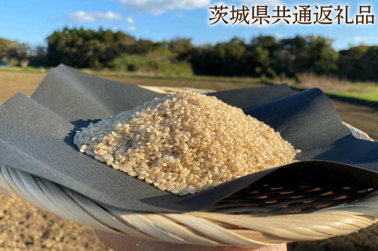 
【できるだけ農薬を減らした】マキタ超こしひかり 玄米5kg【茨城県共通返礼品・行方市産】【おいしい お米 マキタ 減農薬 安心 げんまい 15000円以下 鹿嶋市】（KBE-26）
