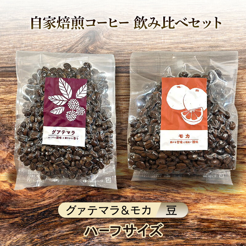 【ふるさと納税】【厳選2種】芳醇なフルーティー飲み比べセット・自家焙煎コーヒー（ハーフサイズ豆）(グァテマラ111g、モカ143g) 珈琲