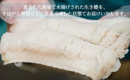 ハモ 鱧 しゃぶしゃぶ 500g 鍋セット 切り身 スープ付き 冷凍 【鱧鍋 ハモ鍋 鱧料理 ハモ料理 冷凍鱧 冷凍ハモ 鱧しゃぶ ハモしゃぶ 肉厚鱧 肉厚ハモ】