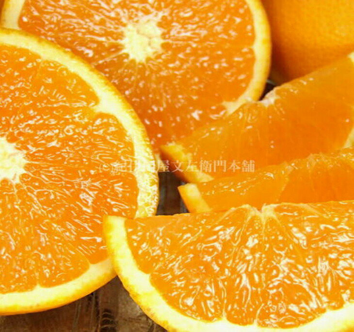 【ふるさと納税】清見オレンジ 約6kg 湯浅町田村産 春みかん （果実サイズおまかせ）/ 紀伊国屋文左衛門本舗