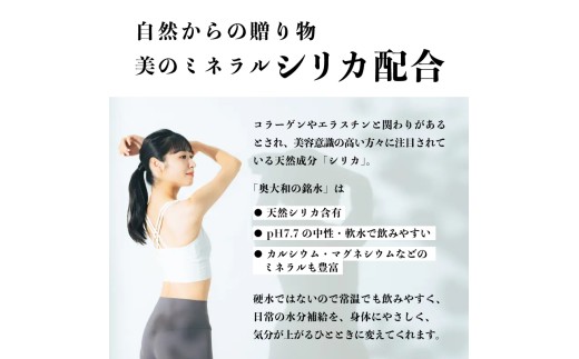 【定期便5ヶ月】奥大和の銘水　500ml×48本（1箱24本入り×2箱）×5ヶ月 F-80 500ml×48本×5回