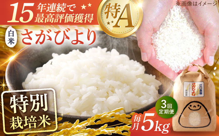 【3回定期便】令和7年産 さがびより 白米 5kg＜15年連続特A評価＞ 配送前精米/江口農園[UBF025] 米 お米 精米 佐賀県産 特A