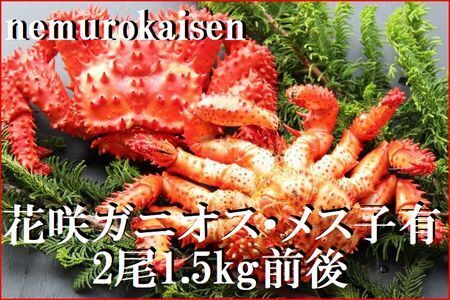 ＜12月22日決済分まで年内配送＞【北海道根室産】花咲ガニ(オス・メス)各1尾(計1.5kg前後) D-57041