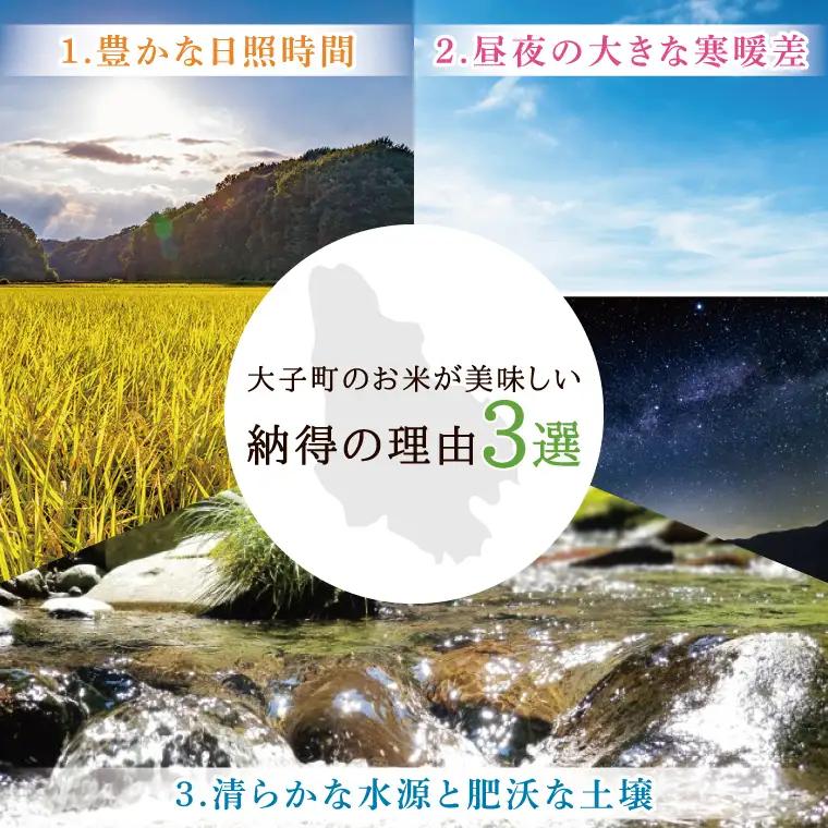 令和7年産　常陸農協の大子町産コシヒカリ5kg｜茨城県 大子町 お米 白米 精米 こしひかり ふっくら もっちり コンテスト受賞（AH012）