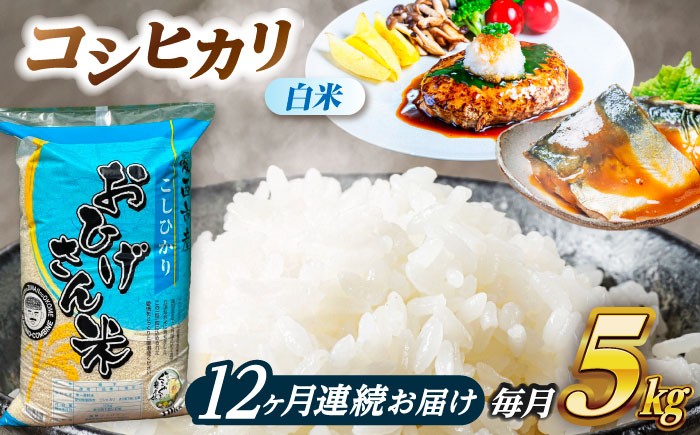 
                  【12回定期便】コシヒカリ 白米 5kg×12ヵ月 愛西市 / 脇野コンバイン [AECP026]
                
