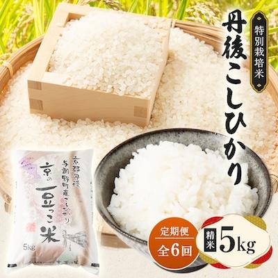 ふるさと納税 与謝野町 【毎月定期便】京都府与謝野町産 丹後コシヒカリ 精米5kg　特別栽培米 京の豆っこ米全6回