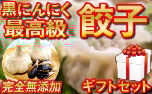 化粧箱入り  有機 葉ニンニク と 四万十豚で作った 最高級 餃子 ギフト セット 高知県 須崎市 EA0831