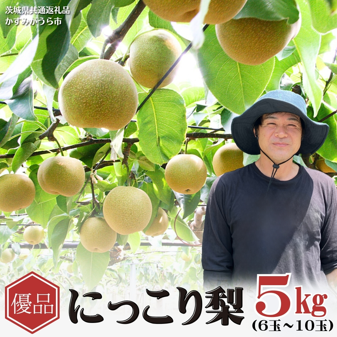 【2026年9月下旬から発送開始】《先行予約》《優品》 にっこり梨 5kg 6玉～10玉（茨城県共通返礼品／かすみがうら市） 鈴木農園 産地直送 フルーツ 甘い 直送 茨城 限定 にっこり [ED002sa]