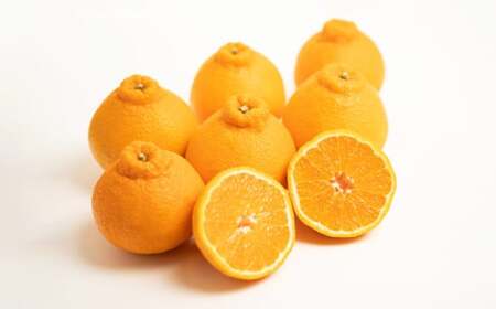 【訳あり】 不知火 5kg 柑橘 訳あり みかん 蜜柑 ミカン フルーツ 果物 くだもの 愛媛みかん 愛媛県産【2026年2月下旬-3月下旬発送予定】【えひめの町（超）推し！（愛南町）】（567）