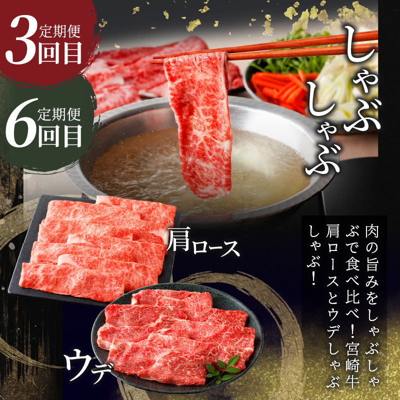 6か月お楽しみ定期便『宮崎牛よくばりセット』総重量4.8kg_T030-184【肉 牛 牛肉 おかず 国産 人気 ギフト 食品 すき焼き しゃぶしゃぶ 焼肉 BBQ 送料無料 プレゼント】