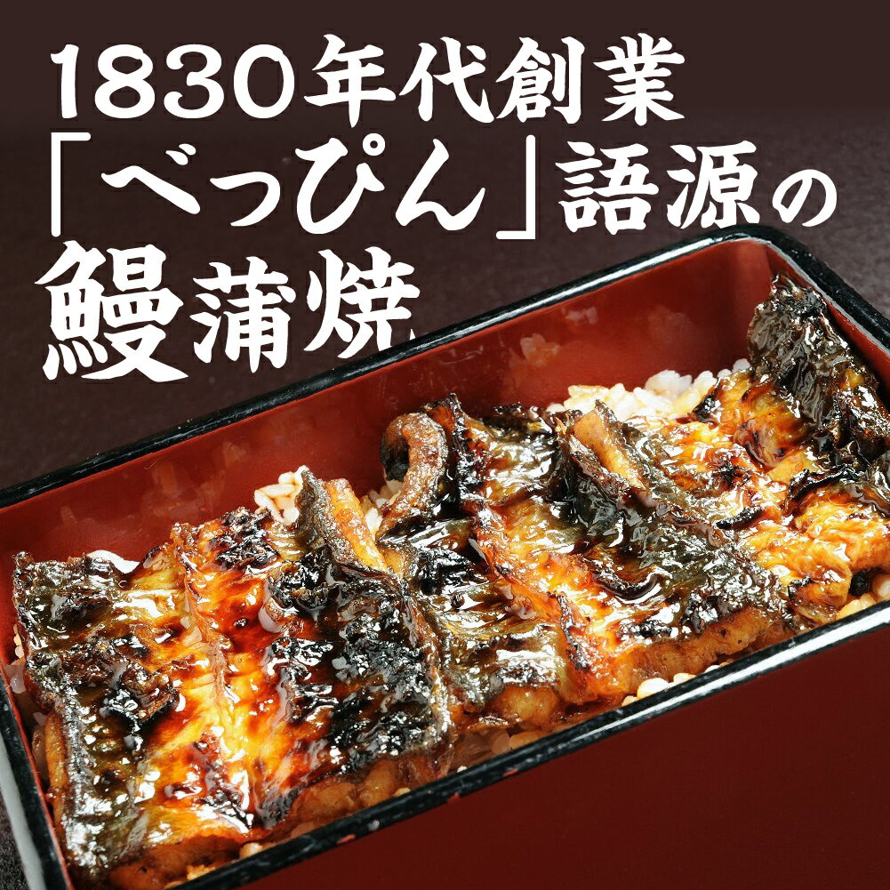 【ふるさと納税】豊橋産 べっぴんうなぎの蒲焼 1尾 ～ 3尾 セット 蒲焼 蒲焼き ウナギ うなぎ 愛知 三河 厳選 冷凍 丑の日 鰻 unagi 土用の丑の日 父の日 送料無料 国産 愛知県 豊橋市