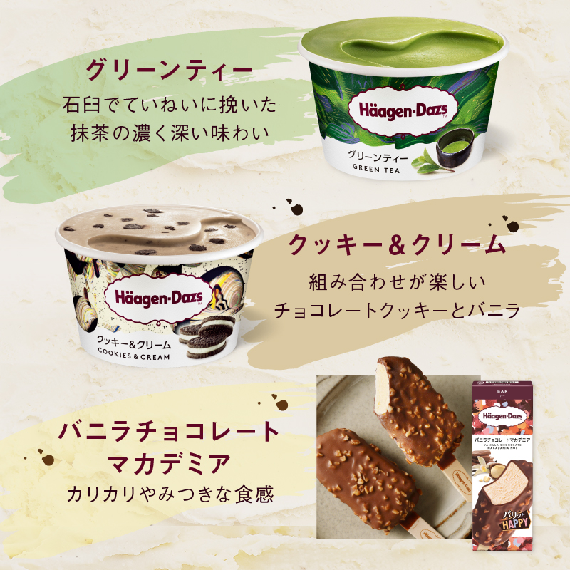 ＜全3回定期便・隔月＞ハーゲンダッツ『ミニカップ＆バーセット(合計21個)』アイスクリーム アイス スイーツ デザート_H0026-050