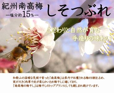 ご家庭用 大容量 紀州南高梅 しそ漬 つぶれ 塩分約15％ 700g×2 ［YM16m］ A-241