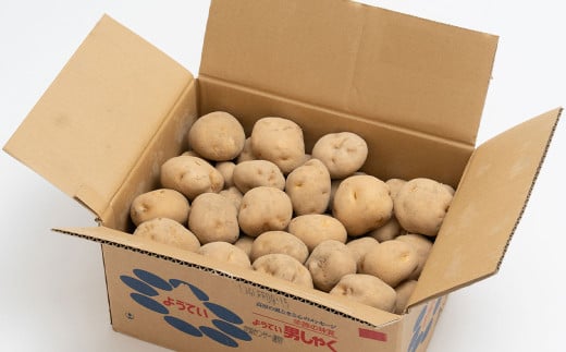 じゃがいも 男爵 Lサイズ 約10kg×1箱 計約10kg （JA） ジャガイモ 芋 いも イモ 国産 【2025年9月下旬-2026年2月下旬迄発送予定】_イメージ3
