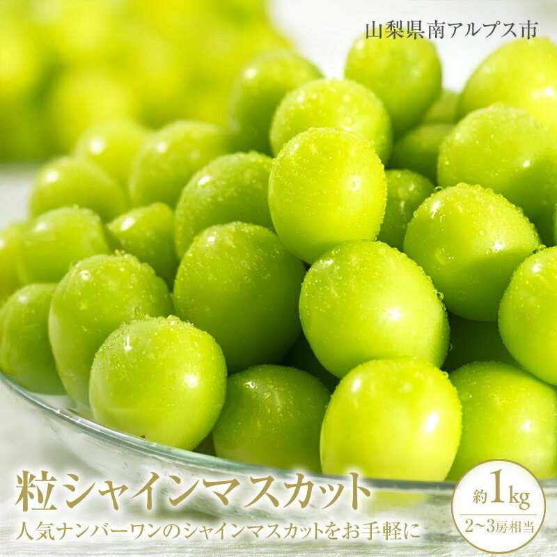【ふるさと納税】 ＜2025年発送分先行予約＞山梨県南アルプス市産シャインマスカット　粒　1kg ふるさと納税 シャインマスカット マスカット 葡萄 果物 フルーツ おすすめ 山梨県 南アルプス市 送料無料 ALPAH044