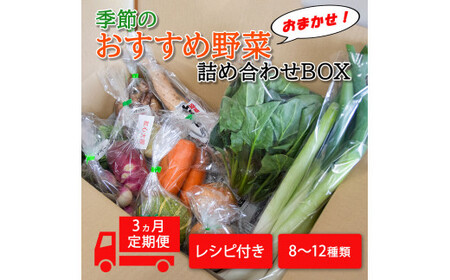 季節のおすすめ野菜おまかせ詰め合わせ3ヵ月定期便 8種～12種類【16103】