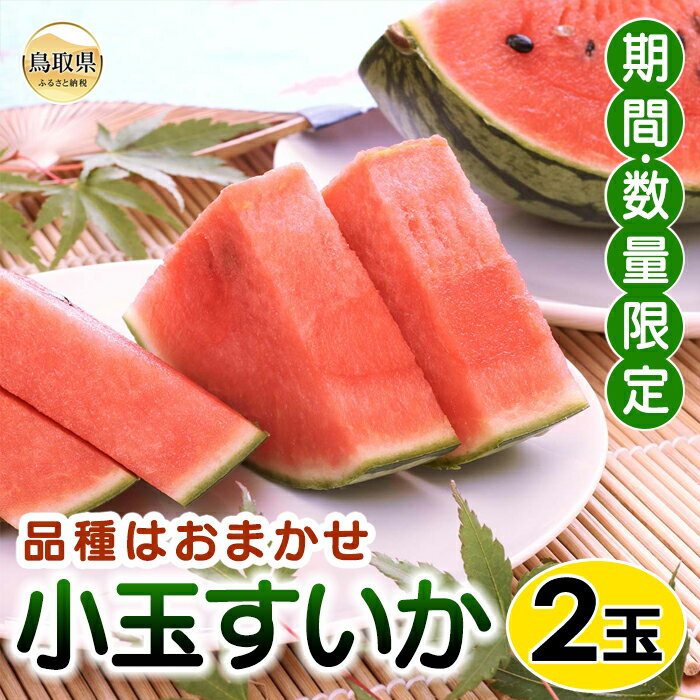 【ふるさと納税】【品種はおまかせ】小玉すいか　2玉【期間・数量限定】_T2600190