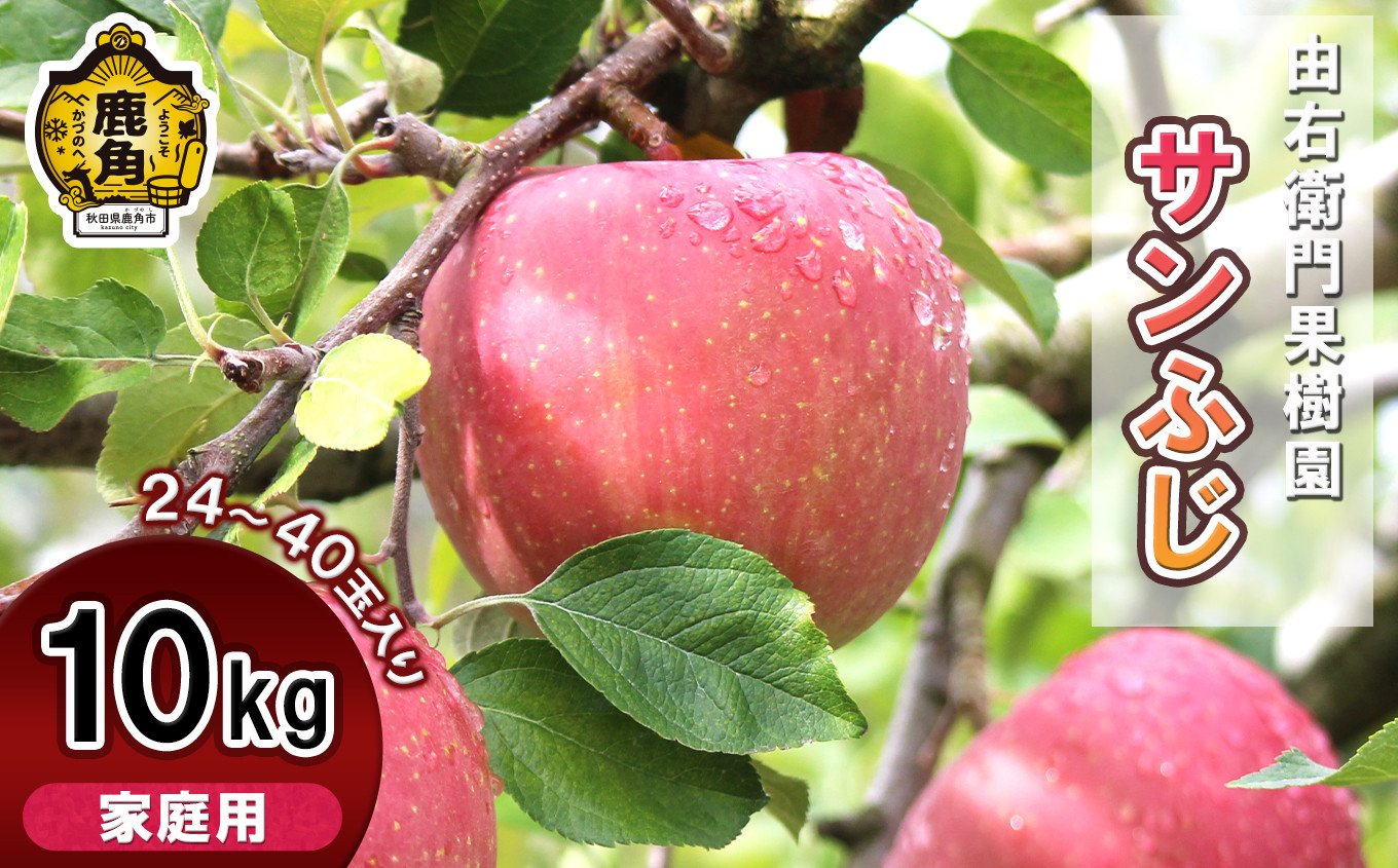 
            《 発送時期選択 》由右衛門果樹園 りんご 家庭用「 サンふじ 」 約10kg（ 24～40玉 ）【由右衛門果樹園】リンゴ 完熟 旬 ふじ フジ 県産りんご お歳暮 グルメ ギフト 故郷 秋田 あきた 鹿角市 鹿角 送料無料
          