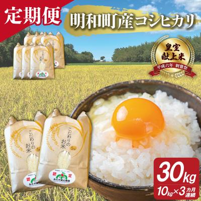 ふるさと納税 明和町 三重県産 山本農産のお米(コシヒカリ)の定期便 10kg×3回 yn7