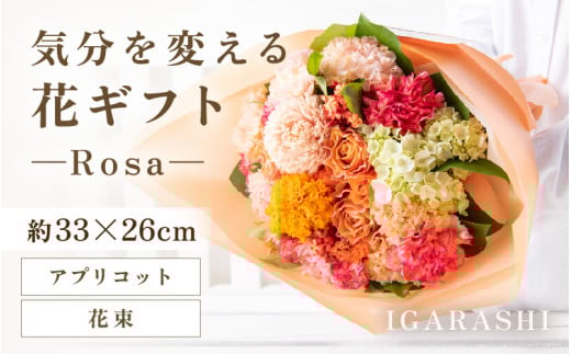 気分を変える花ギフト-Rosa-(花束・アプリコット) [aw062-c002_06]