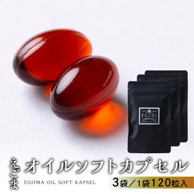 ふるさと納税 下呂市 えごまオイルソフトカプセル 3袋(1袋 120粒入り)3ヶ月分【40-8】