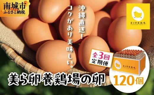 卵の黄身が掴めるほどの新鮮さ 美ら卵養鶏場の卵 120個【3ヶ月定期便】