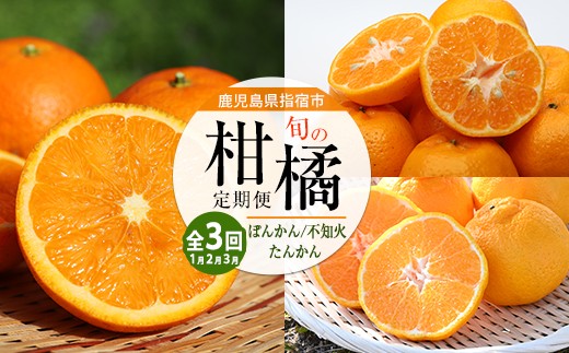 
                  【全３回定期便】みかん尽くし定期便(迫田果樹園/IBZ064-001) ぽんかん 不知火 ( しらぬい ) たんかん みかん フルーツ 柑橘 旬 果物 いぶすき 指宿 鹿児島 開聞 完熟 果実 春 家庭用
                