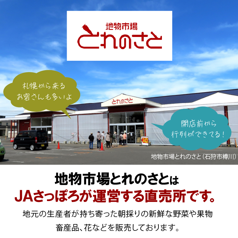 140061 令和5年産 地物市場とれのさと ななつぼし 20kg 