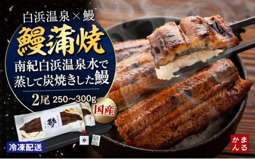 うなぎ蒲焼き2本セット（タレ・山椒付き）（合計：250～300ｇ)