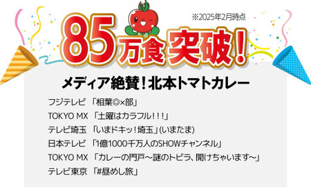 【定期便6ヵ月】北本トマトカレー 5箱(200g/箱)×6ヵ月 計30箱 | トマトカレー 北本市観光協会