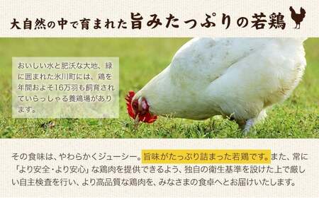 大容量 鶏肉 熊本県産 若鶏むね肉  2kg   
