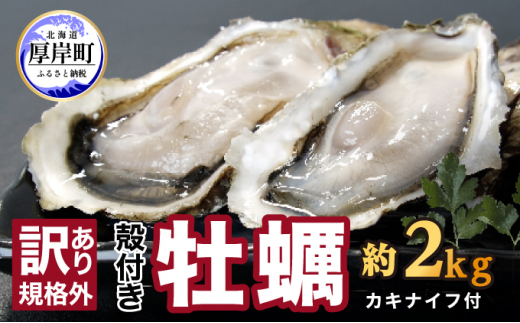 
訳あり ハーフ 規格外 牡蠣 北海道厚岸産 殻付カキ 約2kg（11～25個）カキナイフ付 生食 [№5863-0887]
