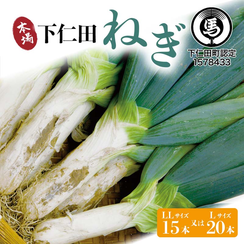 【ふるさと納税】下仁田の広大な畑が生む逸品 下仁田ねぎ （LL15本またはL20本） とろける 甘い ねぎ ネギ 葱 王様ねぎ 殿様ねぎ 特産 栄養たっぷり ブランド 上州ねぎ すきやき F21K-602