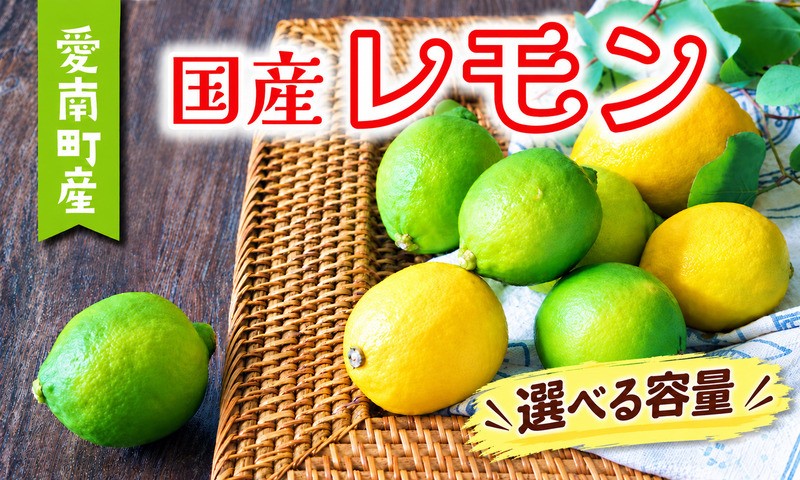 
                  【先行予約：2026年11月上旬～発送】 選べる容量 訳あり レモン 3kg 5kg レモン果汁300ml セット 6000円 7000円 柑橘 檸檬 国産 れもん フルーツ 果物 果実 産地直送 農家直送 数量限定 期間限定 特産品 瀬戸内 ワックス 防腐剤 不使用 わけあり 人気 新鮮 少量 お試し レモネード 塩レモン レモンソース はちみつレモン あいなんマザーズ 愛南町 愛媛県
                