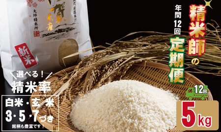 【定期便】 (12ヶ月連続お届け) 大坪精米所 佐賀ブランド米定期便（5kg×12回）Q192-003 特A評価のブランド米 佐賀の米 一等米 精米 白米 ブランド米 お米 白飯 人気 ランキング 高評価